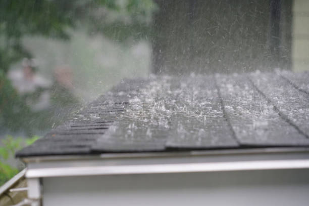 Best Skylight Installation and Repair  in Blue Rapids, KS